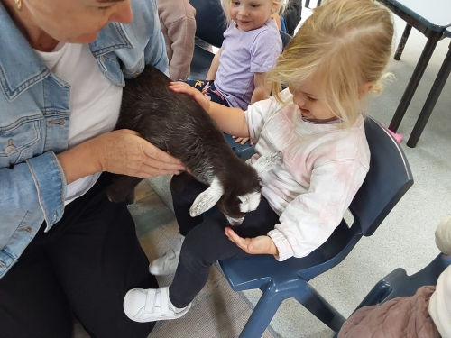 Learning About Animals